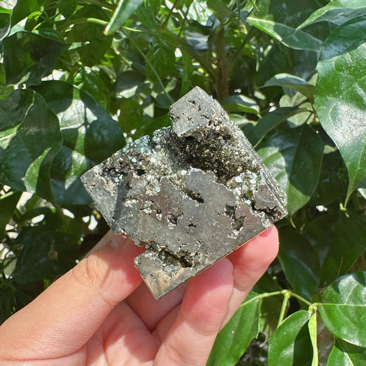 Pyrite Cube
