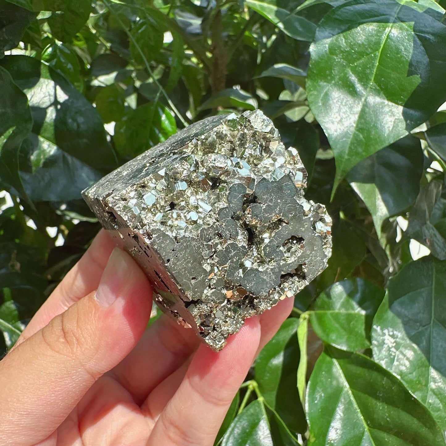 Pyrite Cube