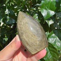 Golden Obsidian Teardrop
