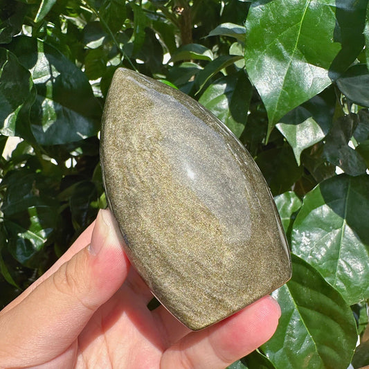 Golden Obsidian Teardrop
