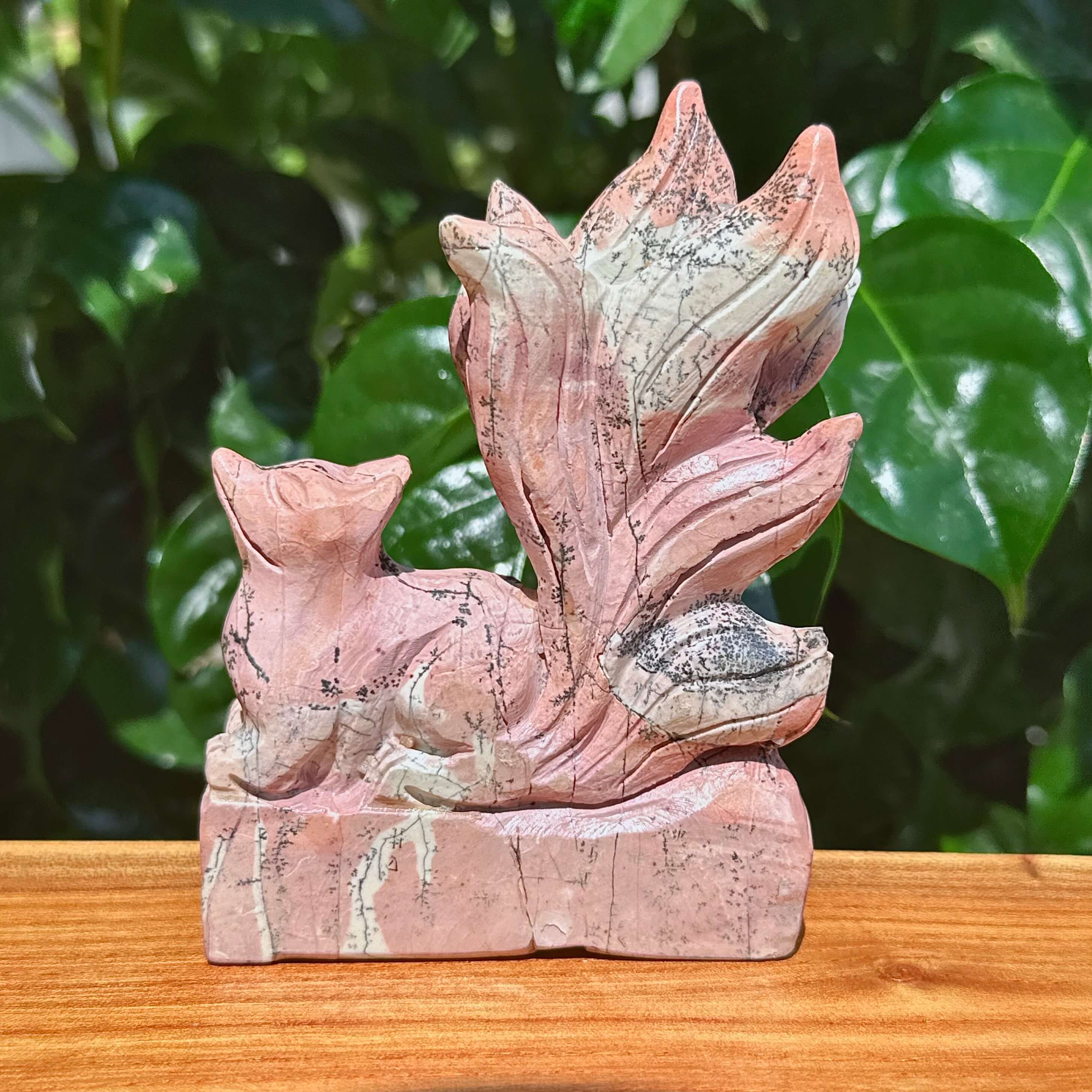 Picture Jasper Nine-tail Fox Carving