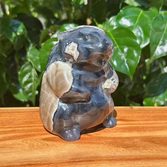 Valcano Agate Groundhog Carving