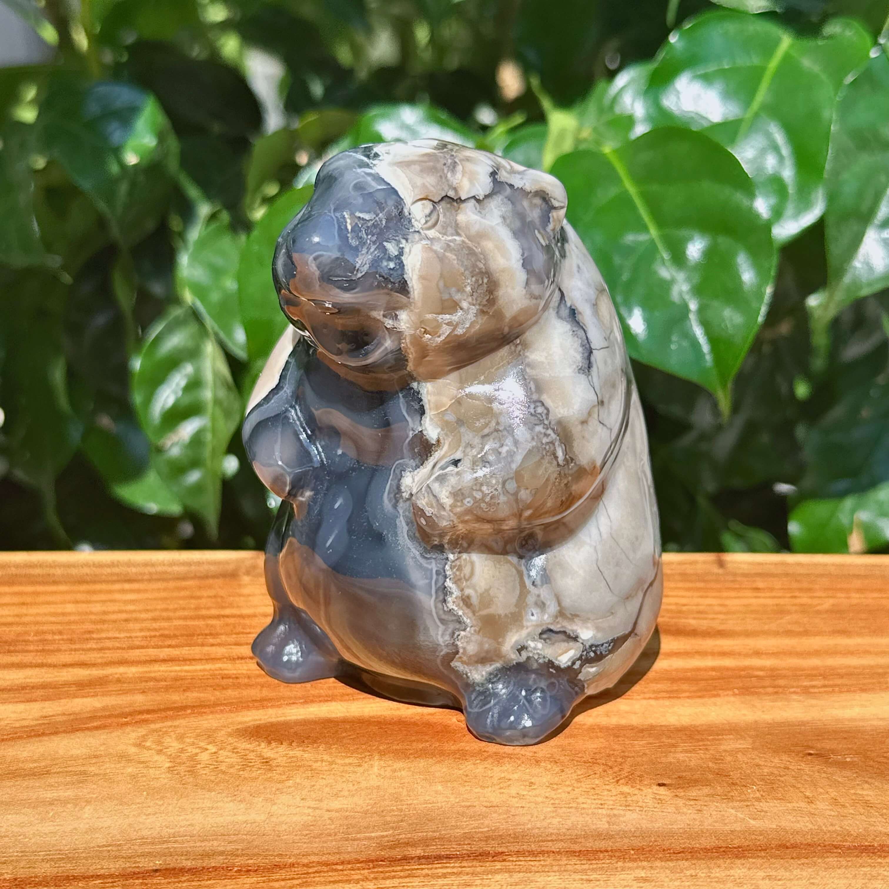 Valcano Agate Groundhog Carving