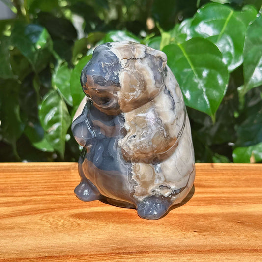 Valcano Agate Groundhog Carving
