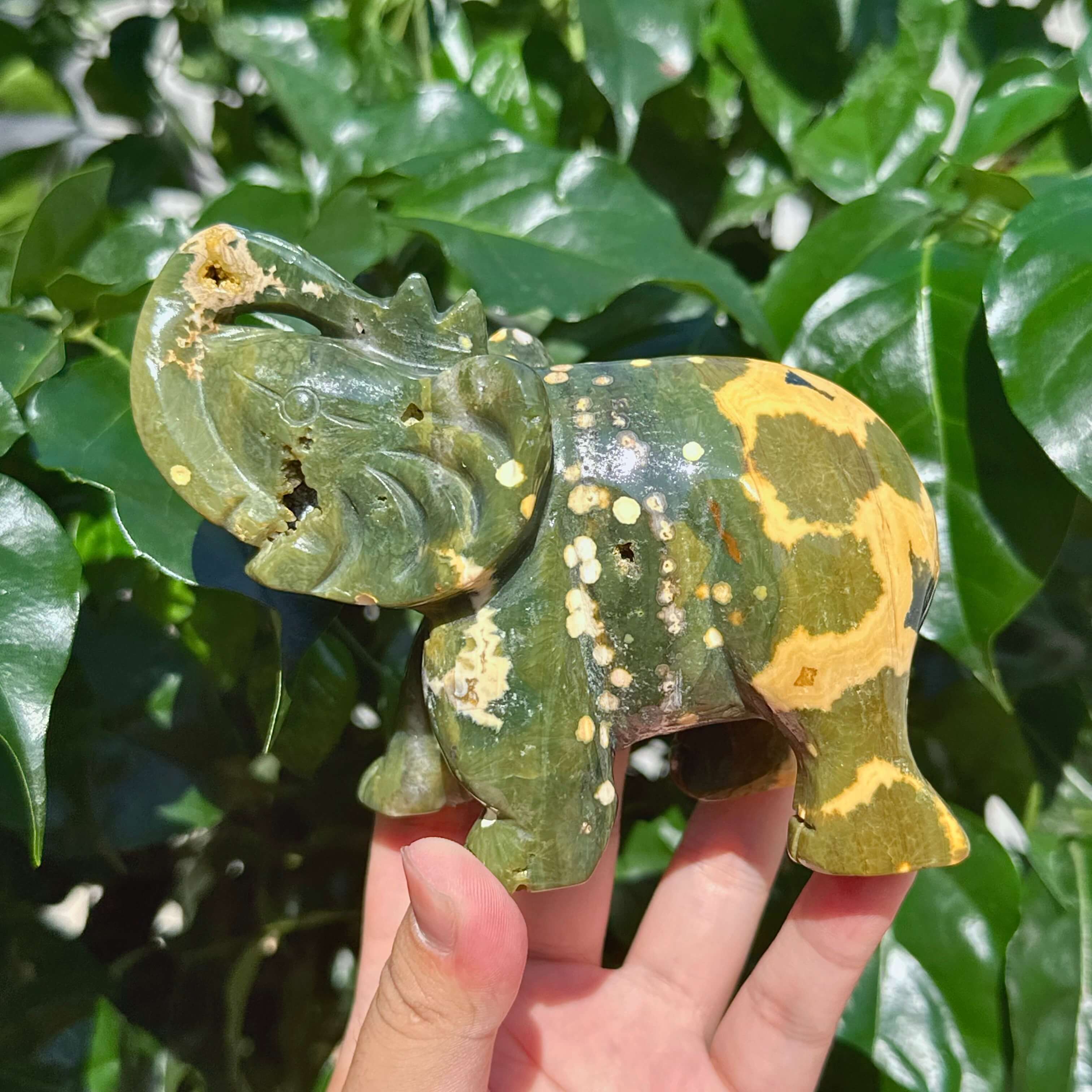 8th Vein Ocean Jasper Elephant Carving