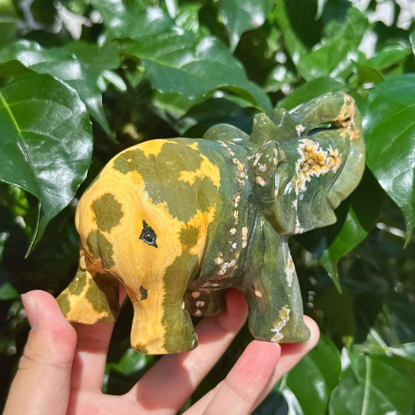 8th Vein Ocean Jasper Elephant Carving
