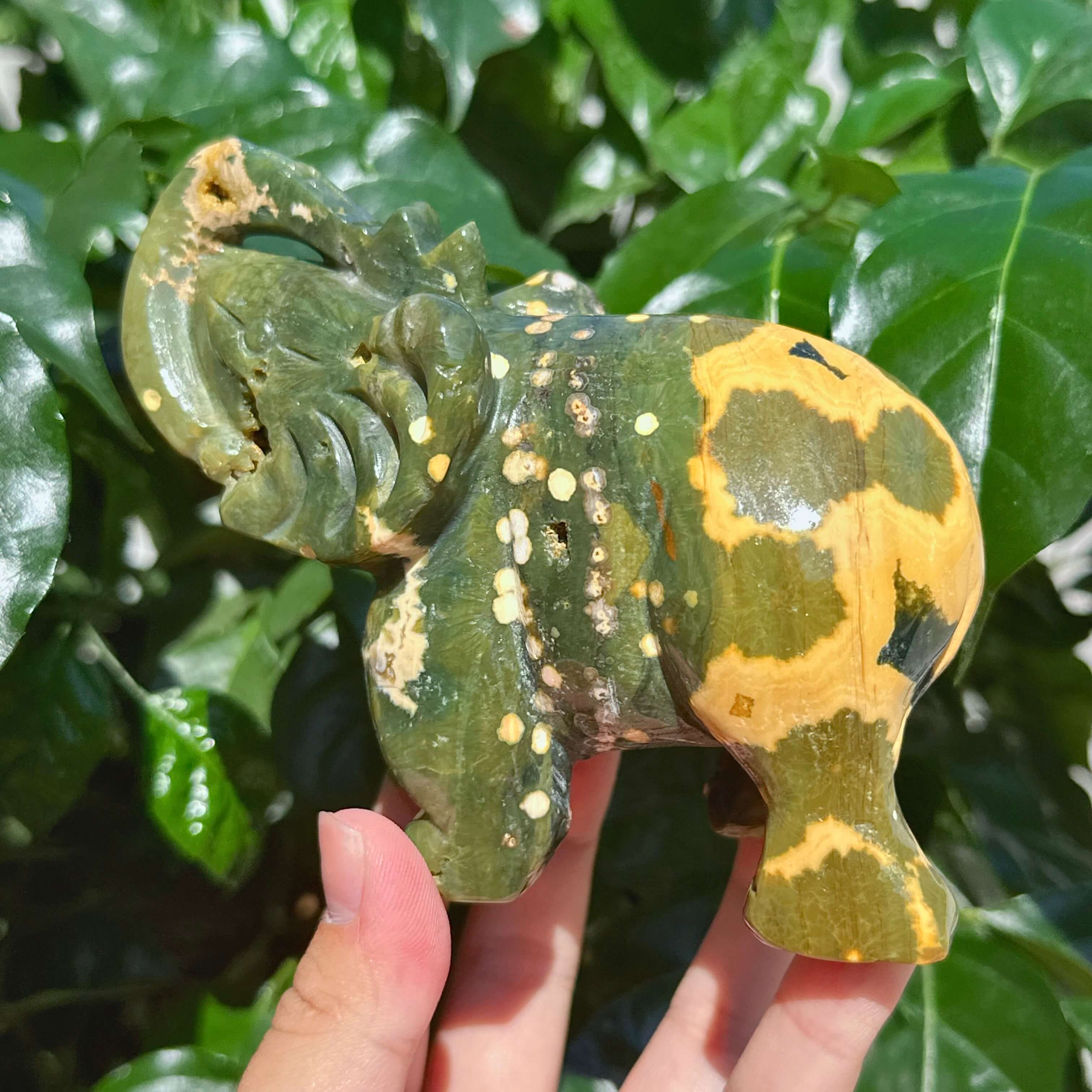 8th Vein Ocean Jasper Elephant Carving