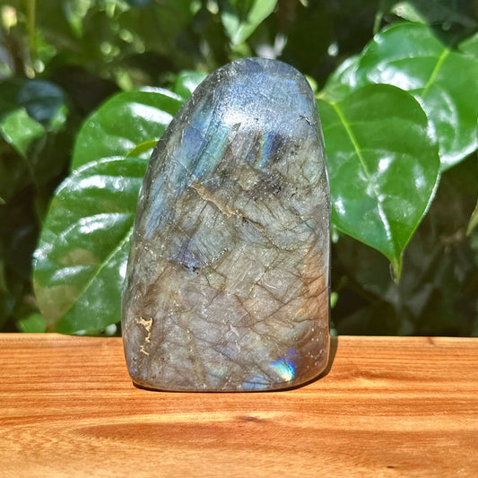 Labradorite Landscape Carving
