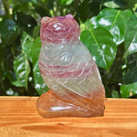 Fluorite Owl Carving