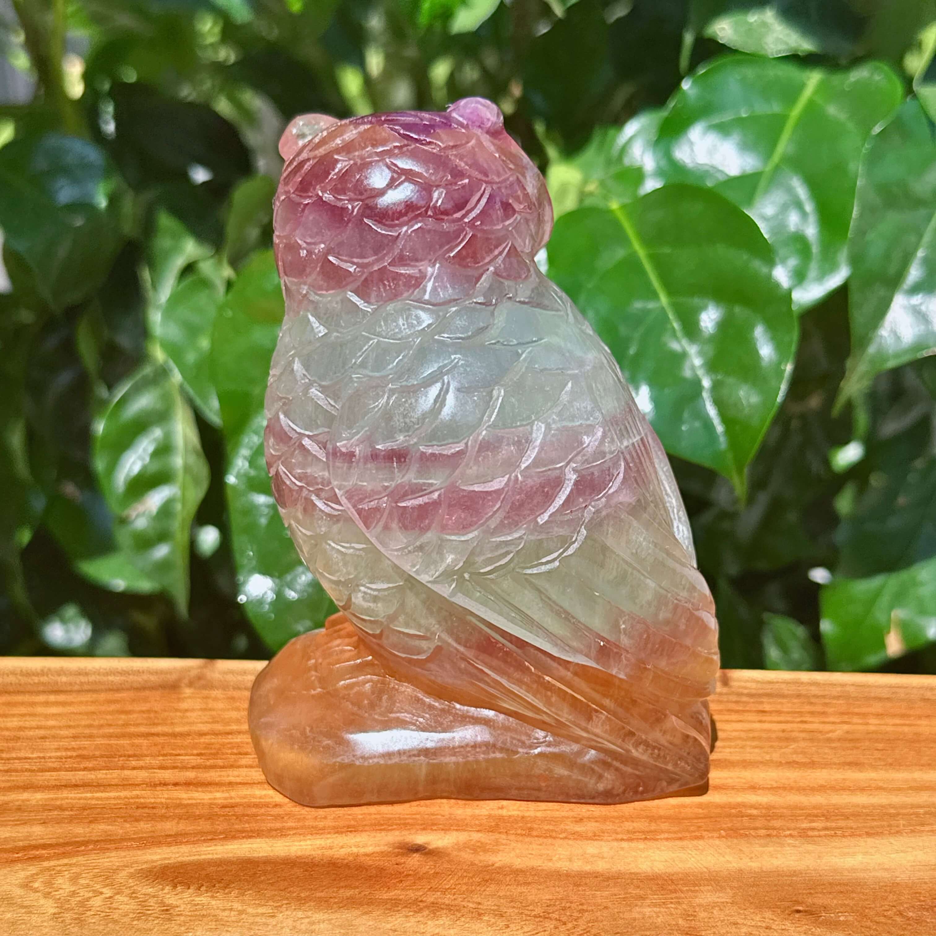 Fluorite Owl Carving