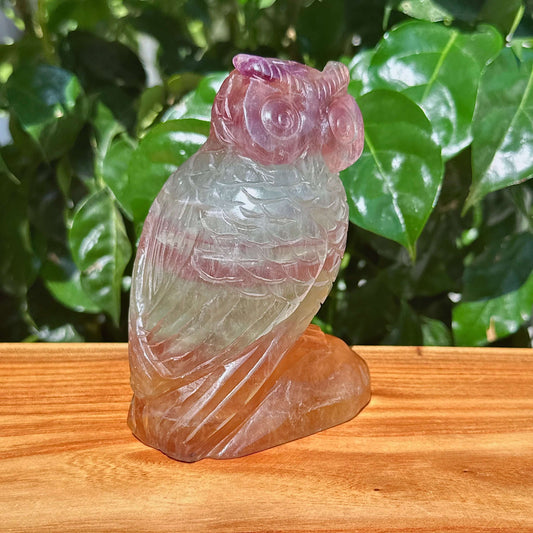 Fluorite Owl Carving
