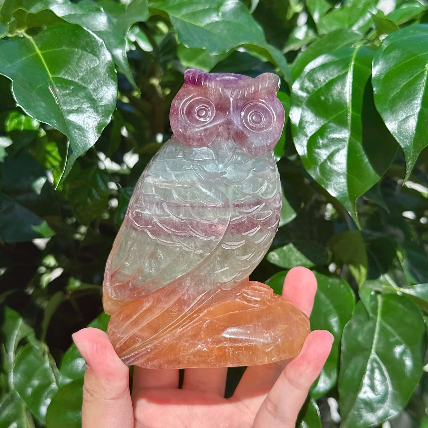 Fluorite Owl Carving