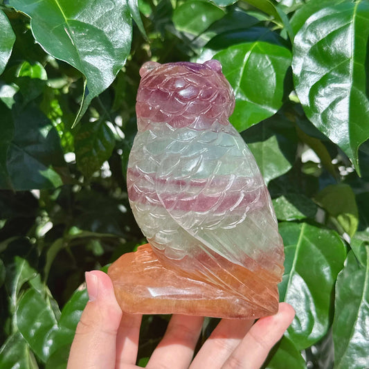 Fluorite Owl Carving