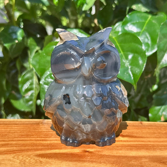 Volcano Agate Owl Carving