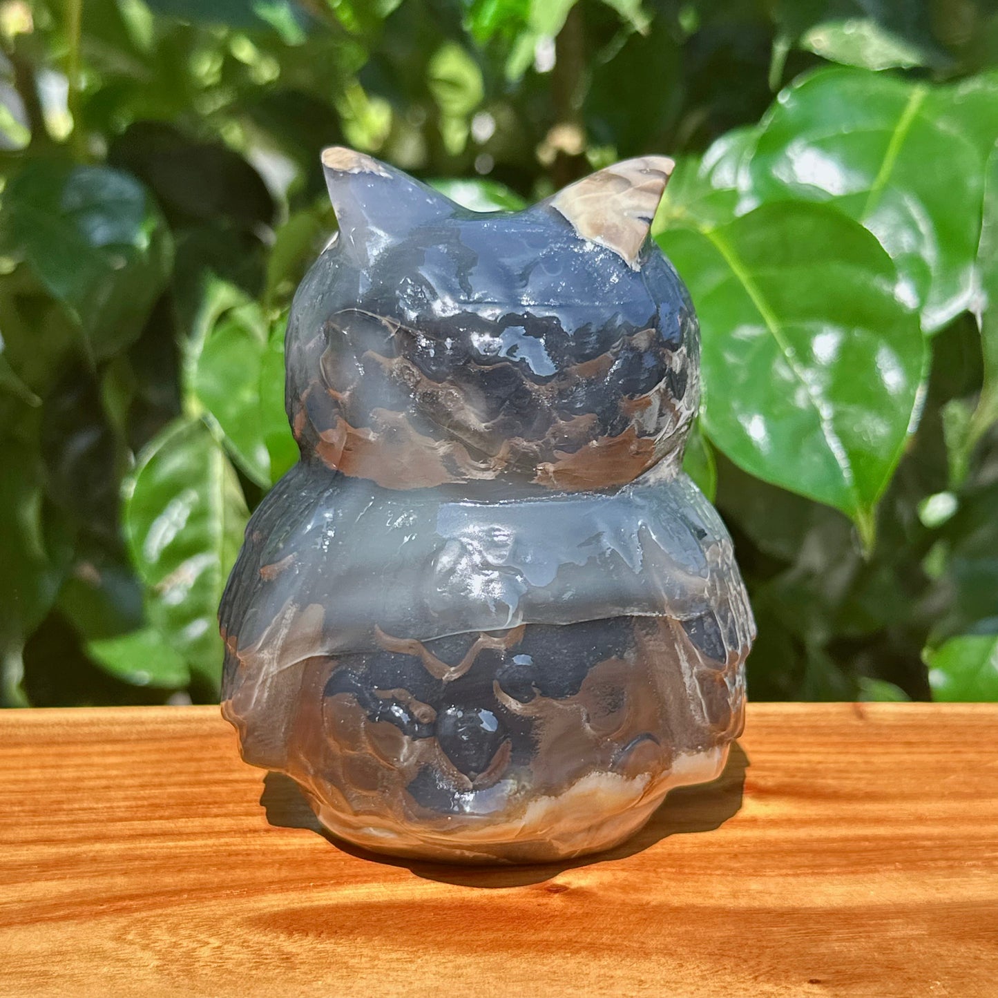 Volcano Agate Owl Carving