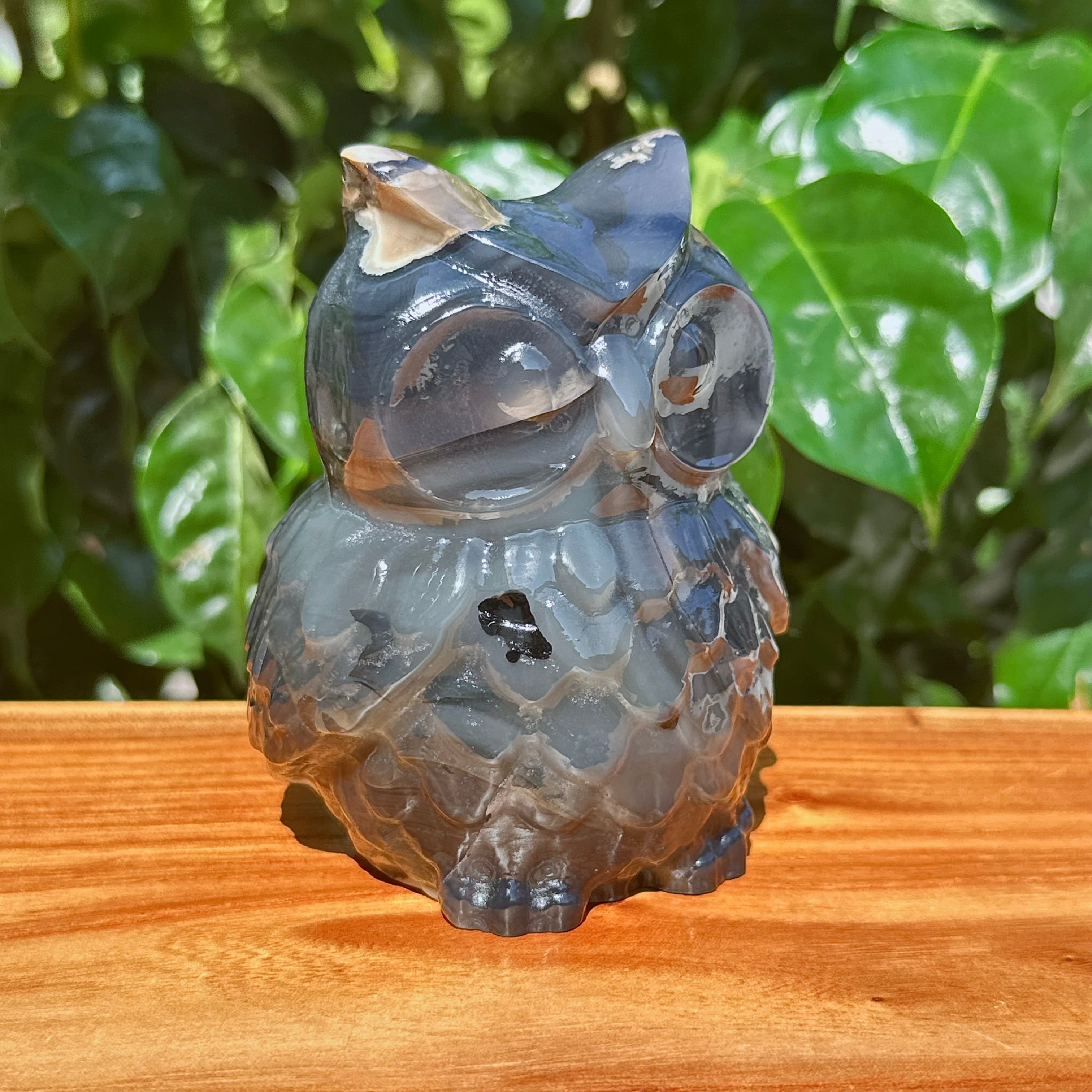 Volcano Agate Owl Carving