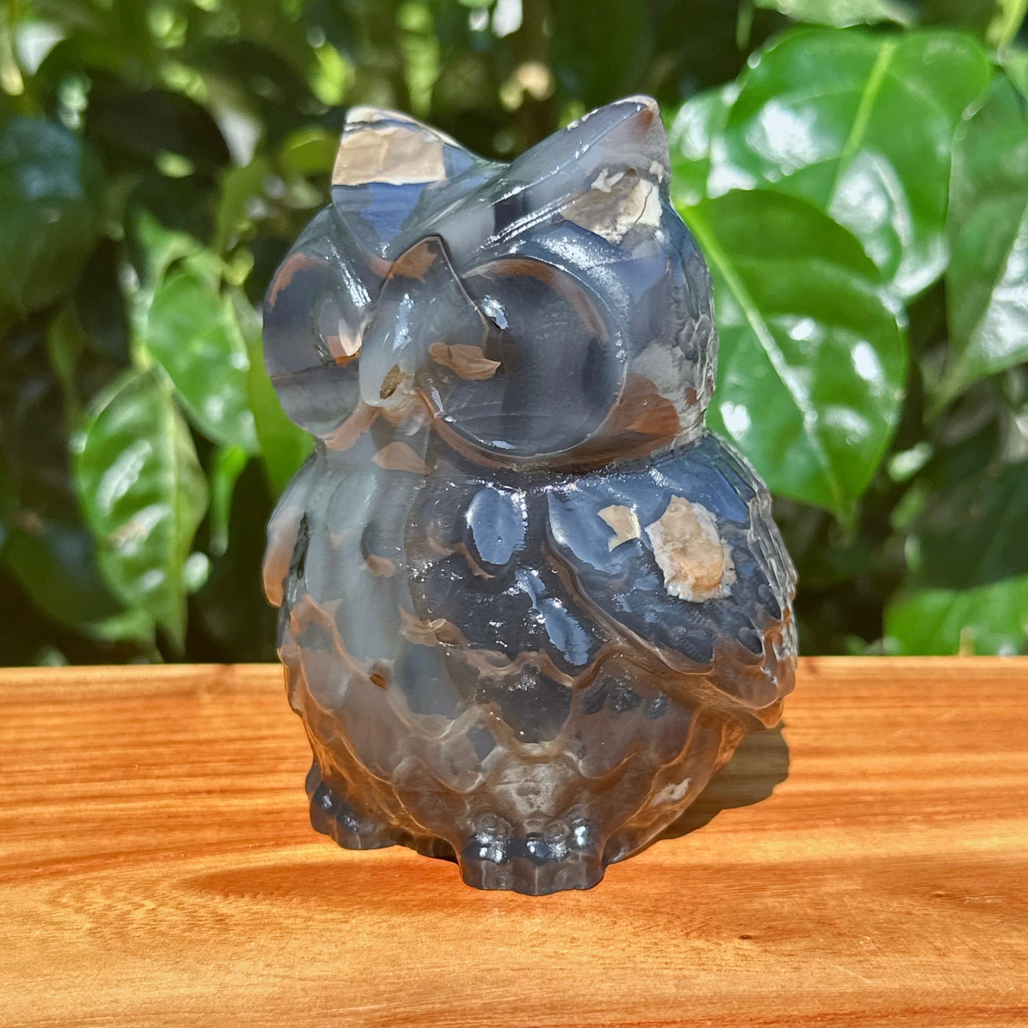 Volcano Agate Owl Carving