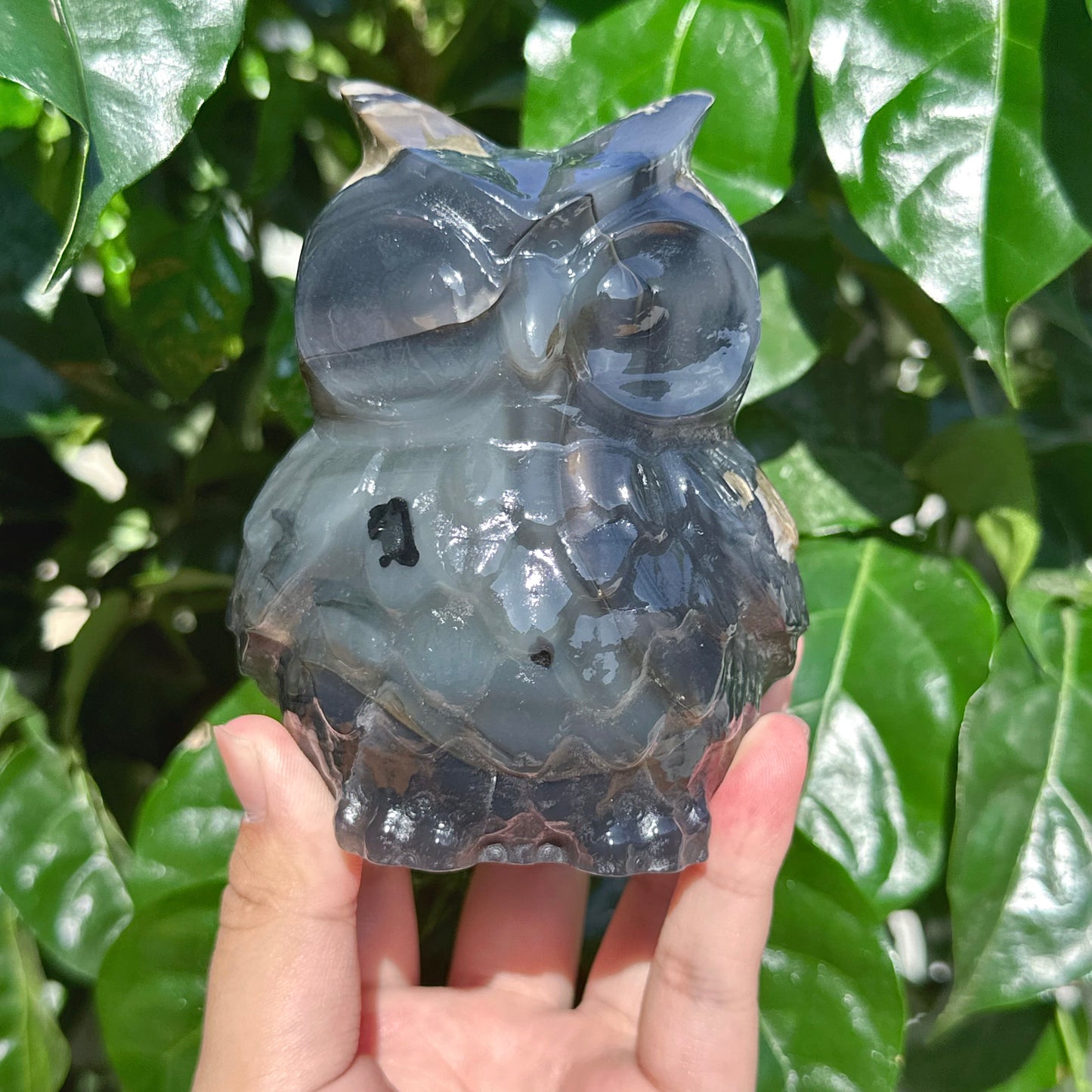 Volcano Agate Owl Carving