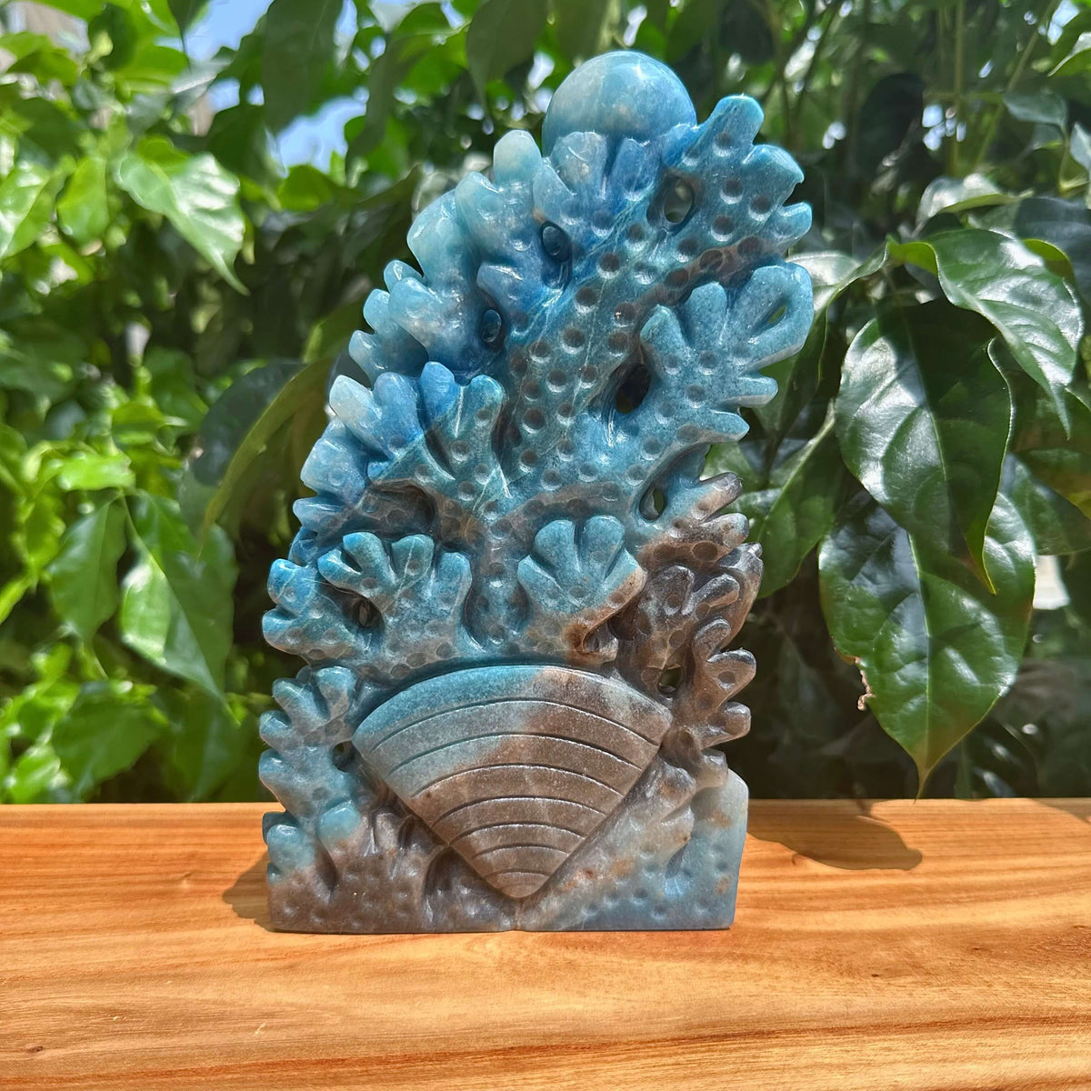 Trolleite Underwater World Carving