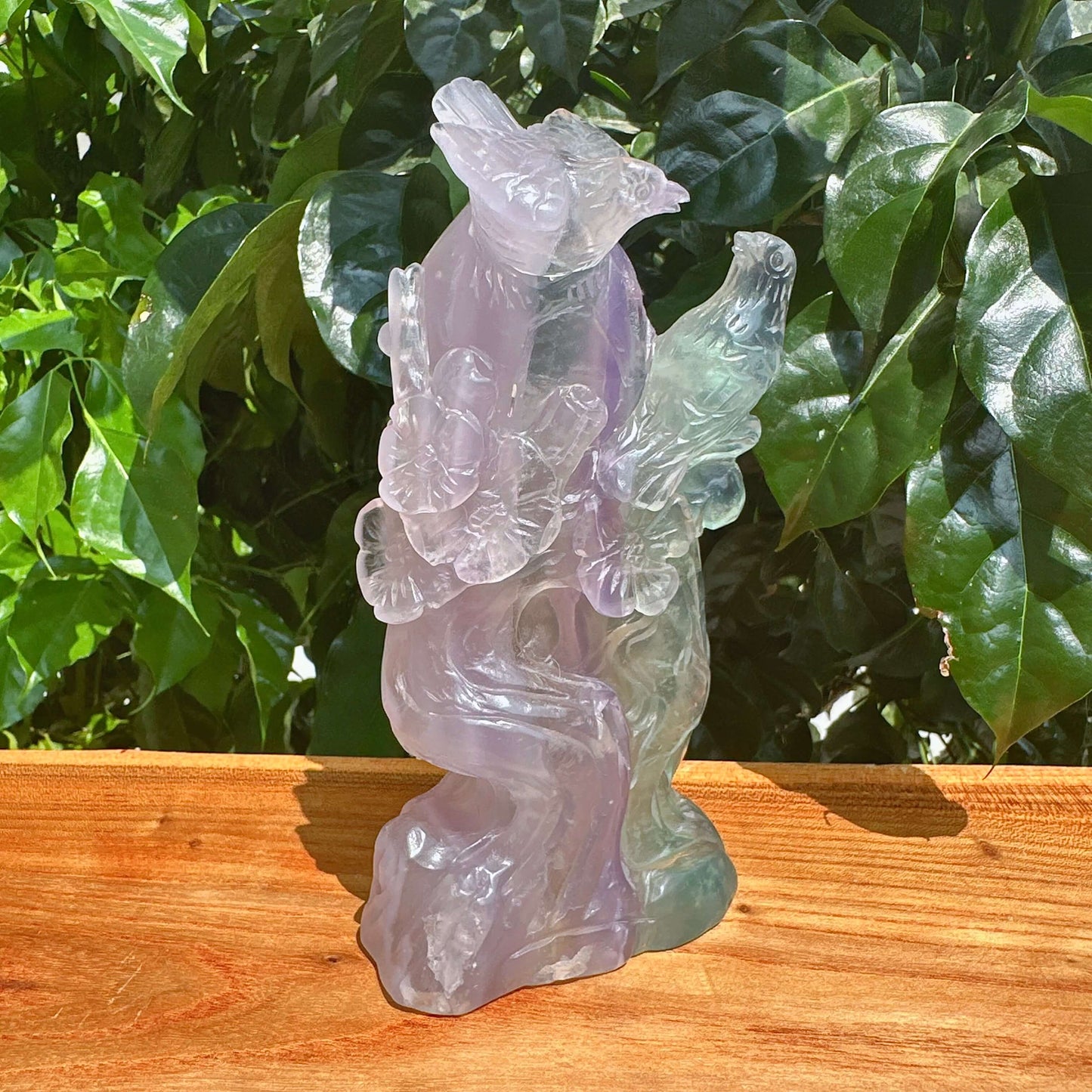 Fluorite Magpie Carving