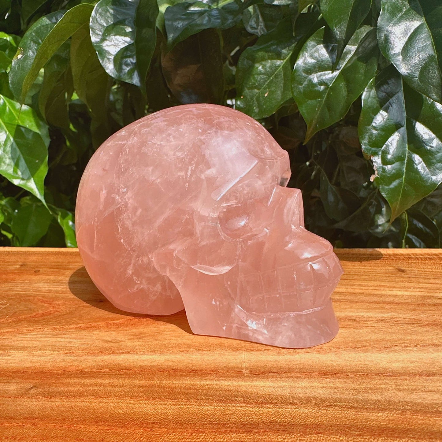 Rose Quartz Skull Carving
