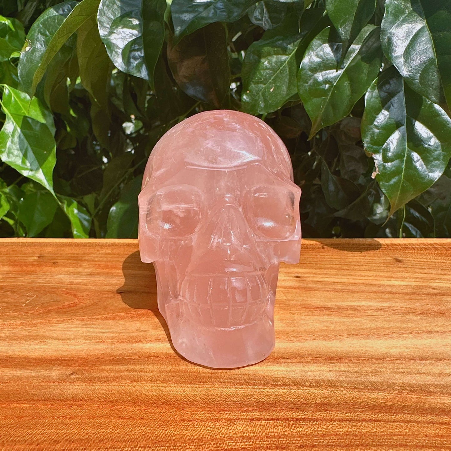 Rose Quartz Skull Carving