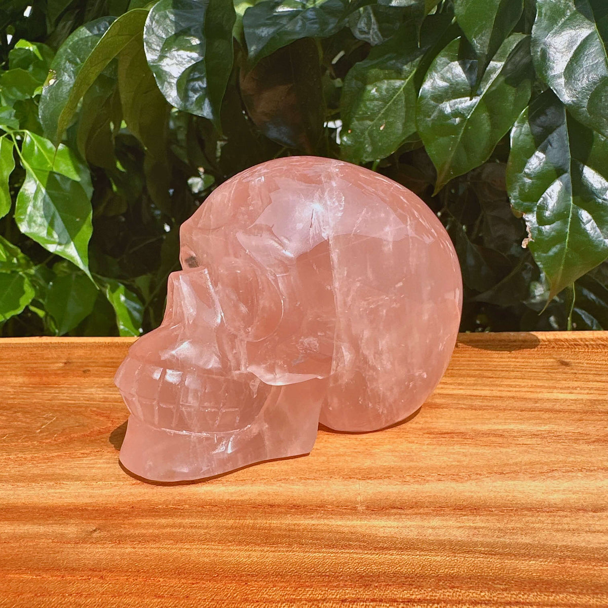 Rose Quartz Skull Carving