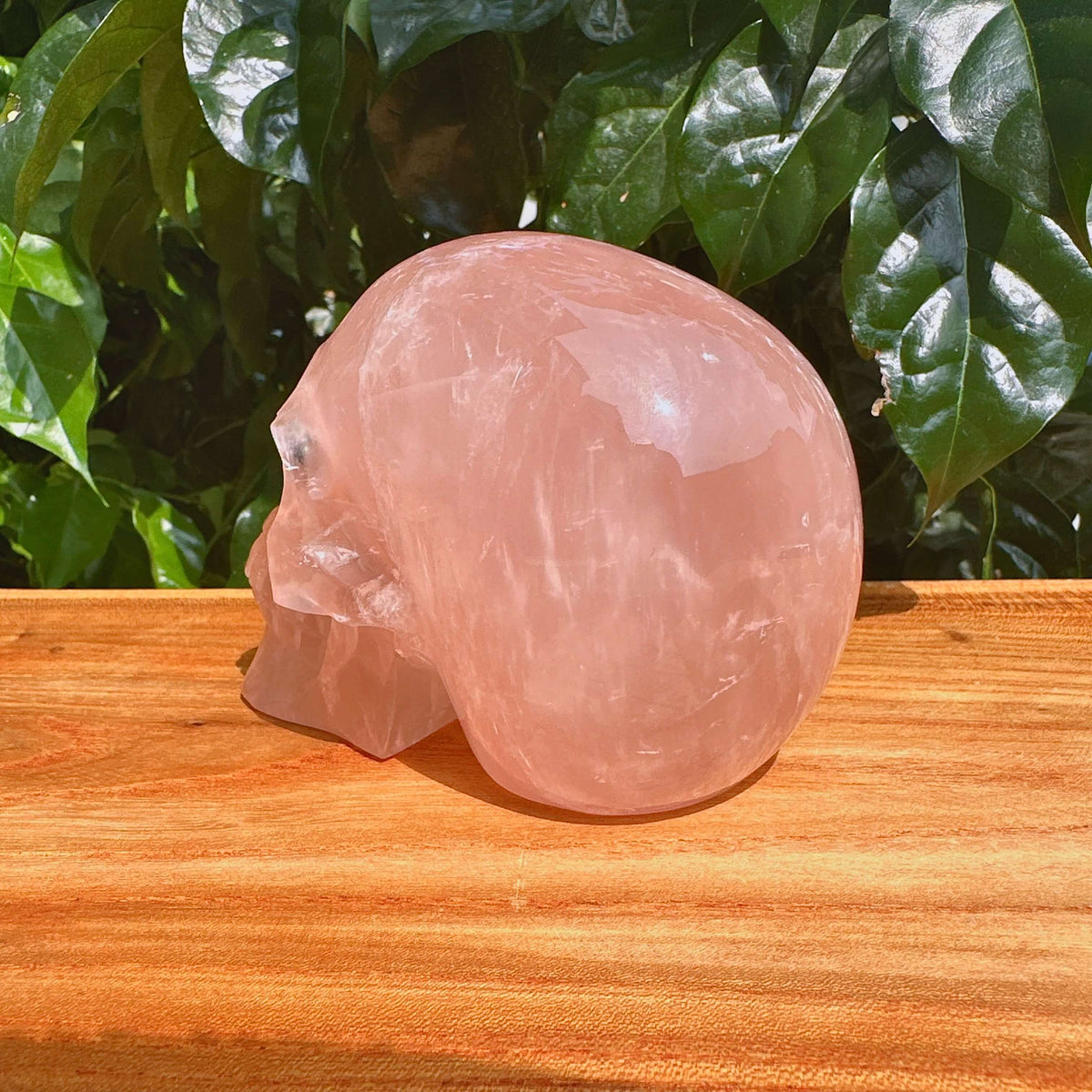 Rose Quartz Skull Carving