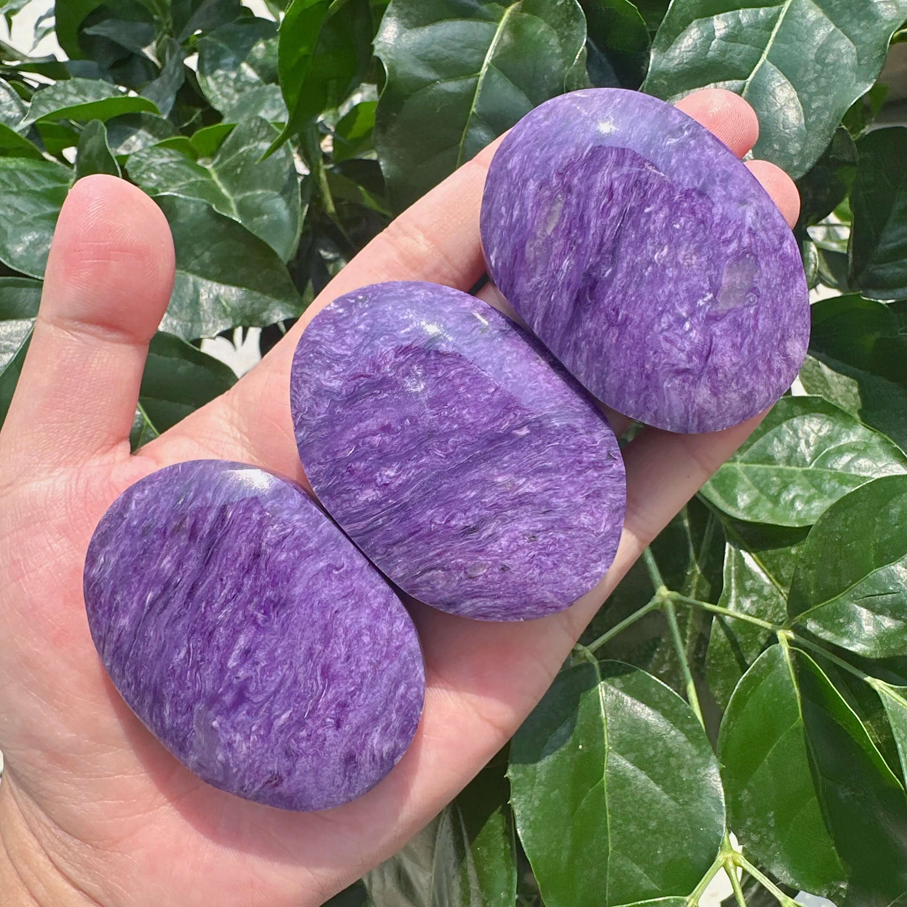 Charoite Palm