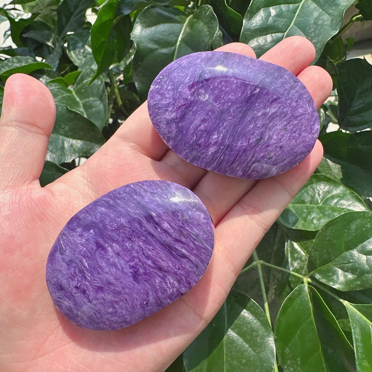 Charoite Palm