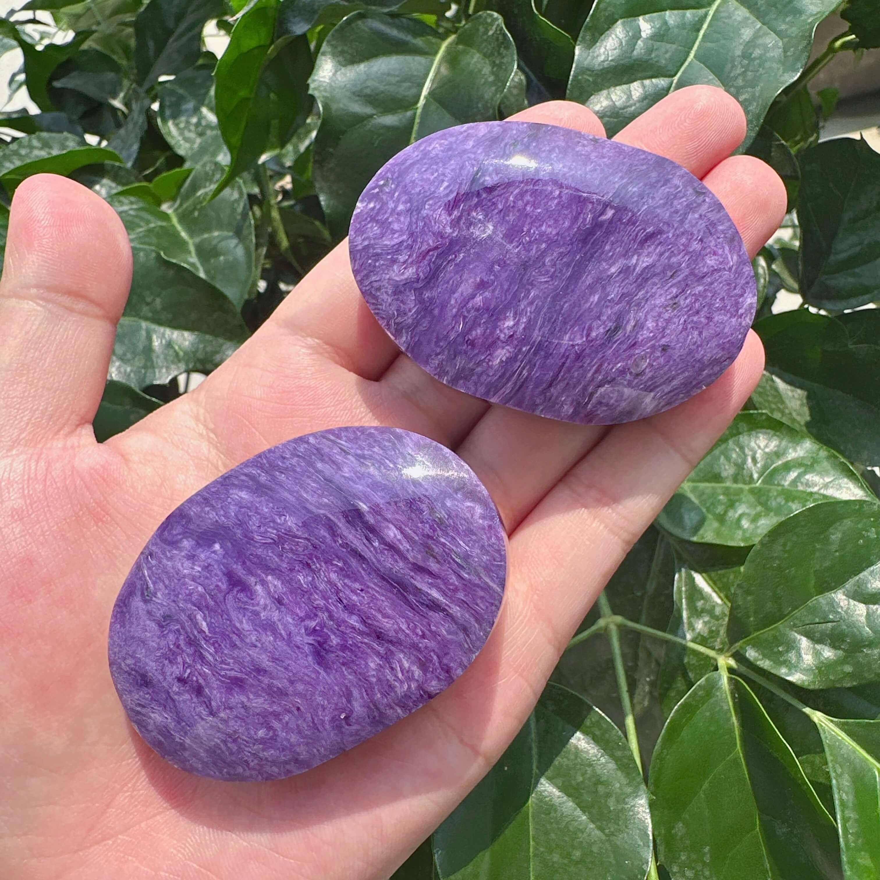 Charoite Palm