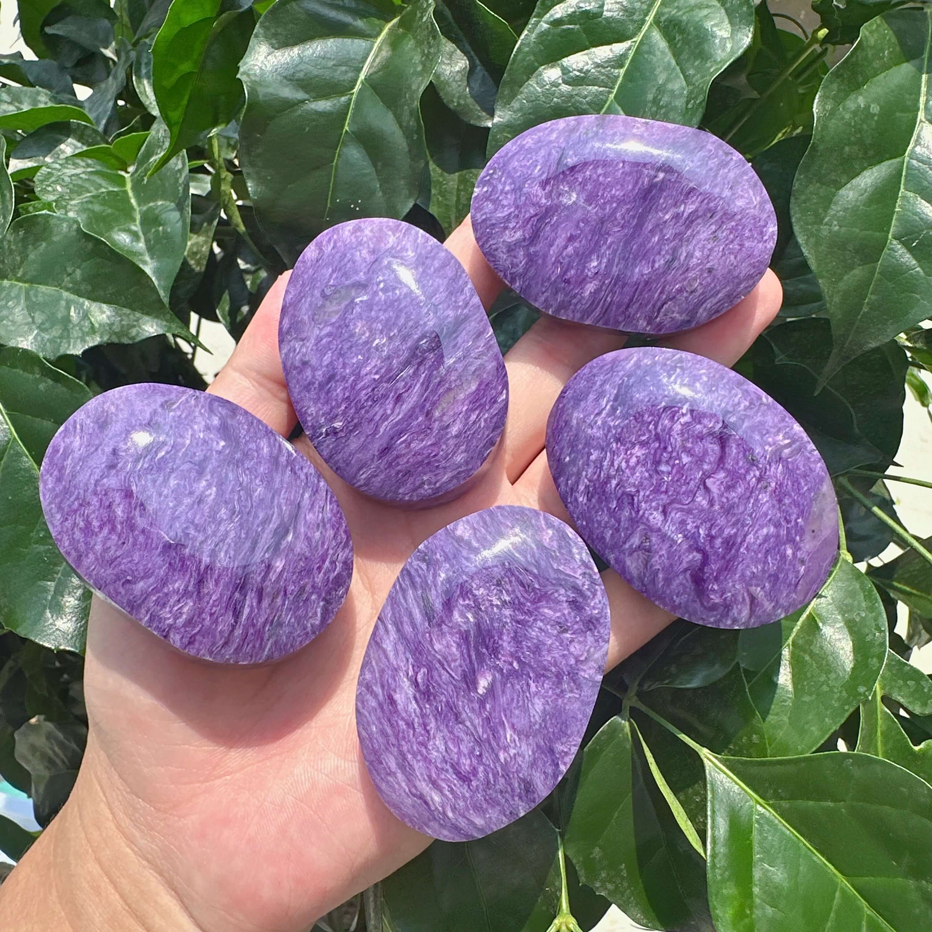 Charoite Palm
