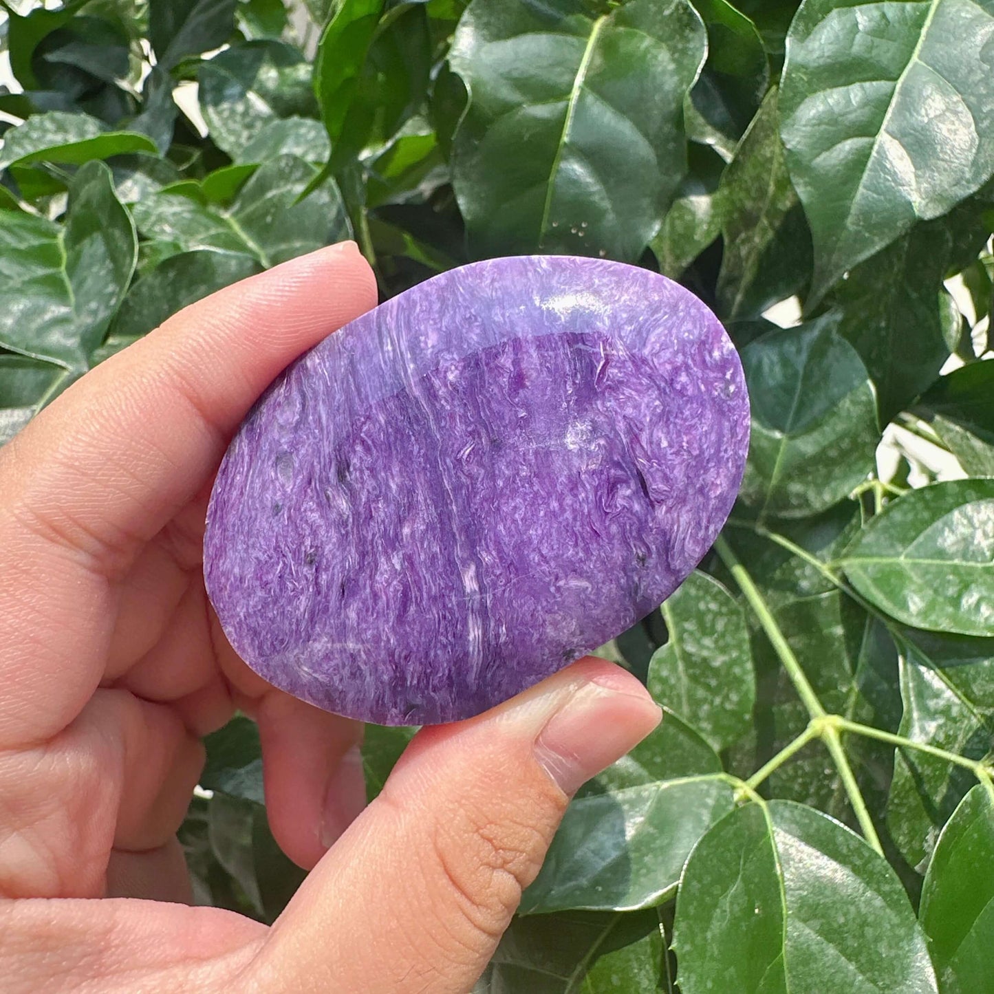 Charoite Palm