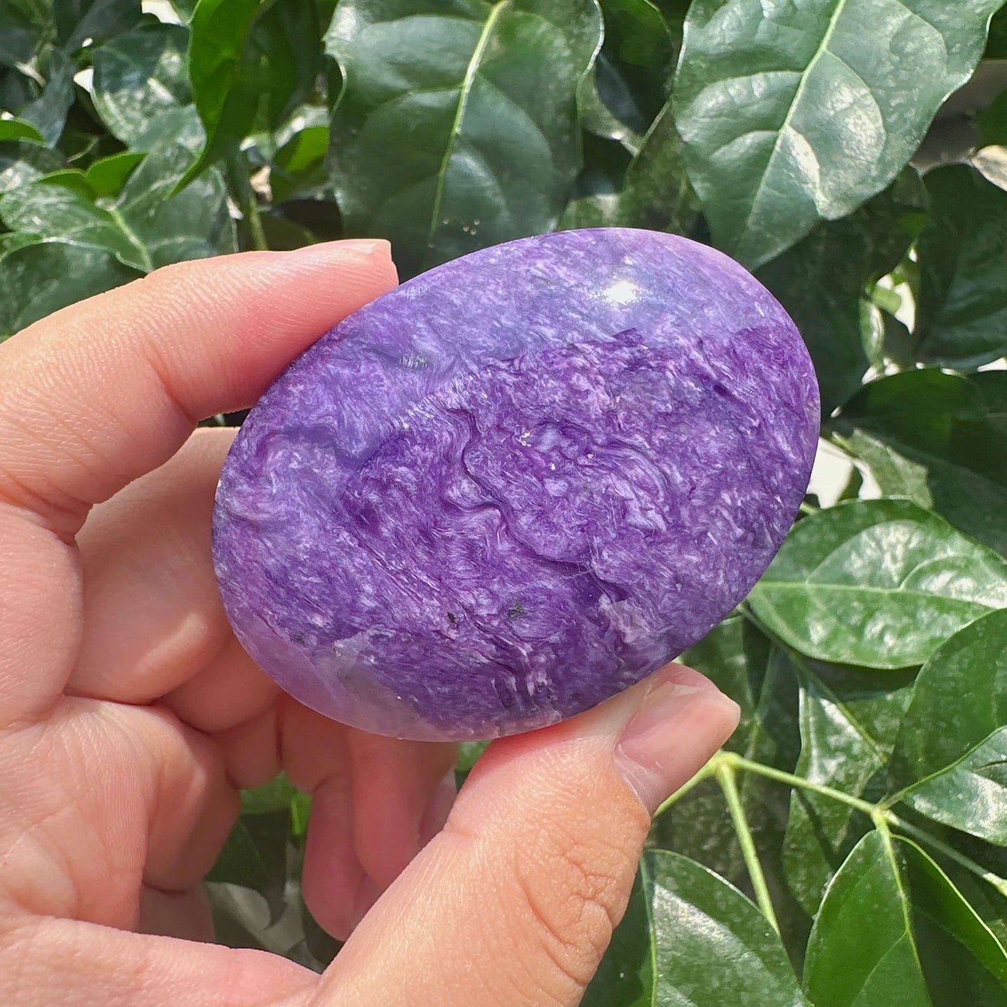 Charoite Palm