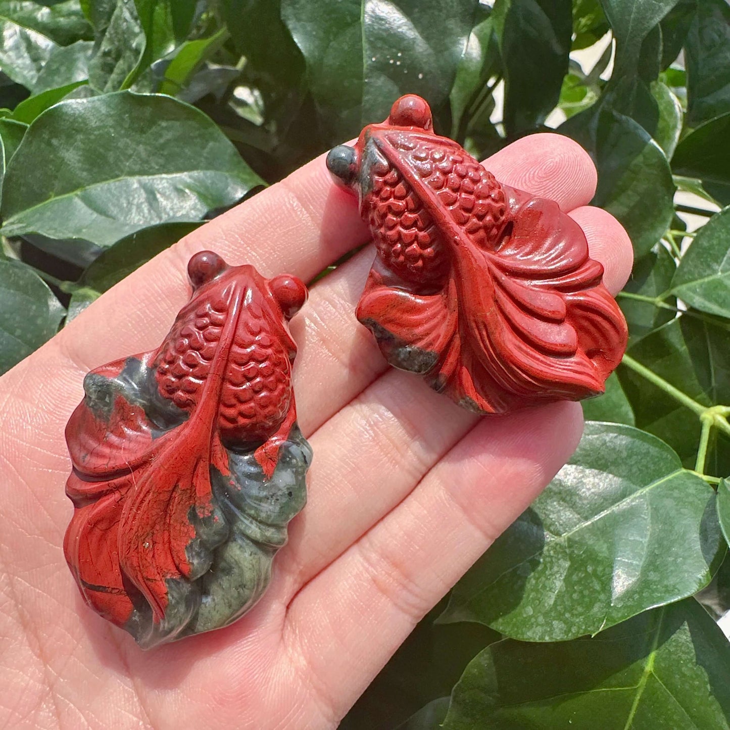 African Bloodstone Goldfish Carving