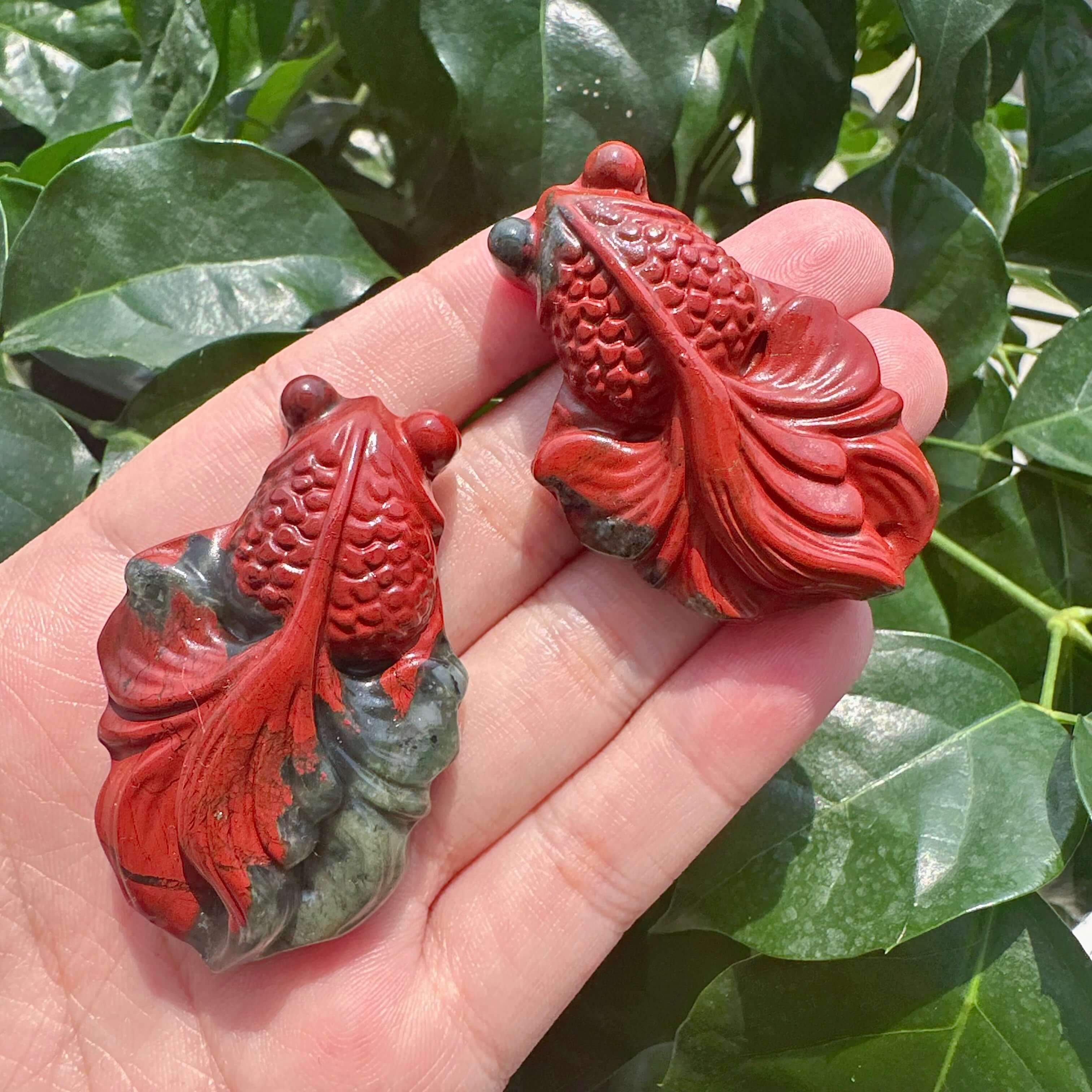 African Bloodstone Goldfish Carving