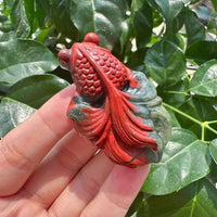 African Bloodstone Goldfish Carving