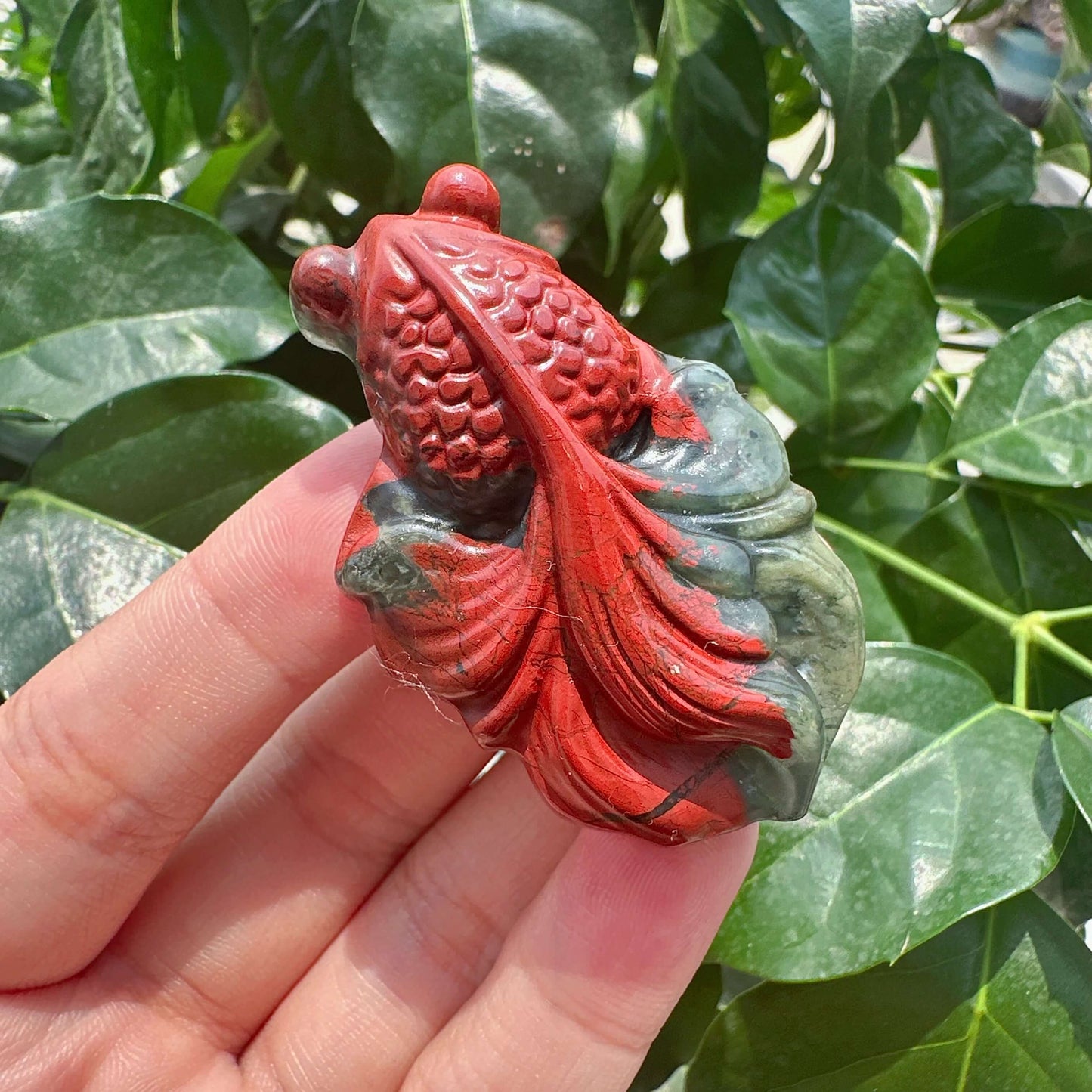 African Bloodstone Goldfish Carving