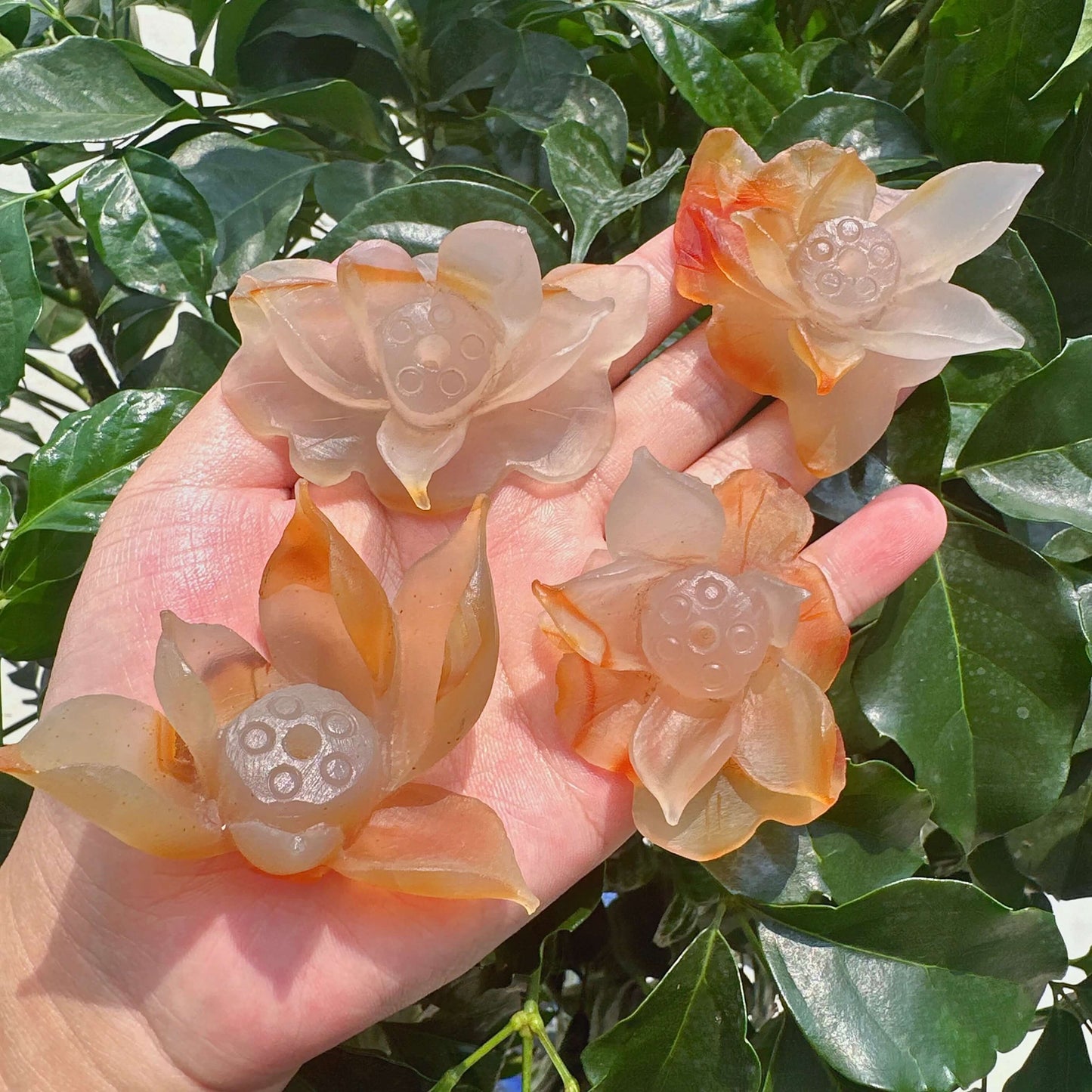 Agate Lotus Carving