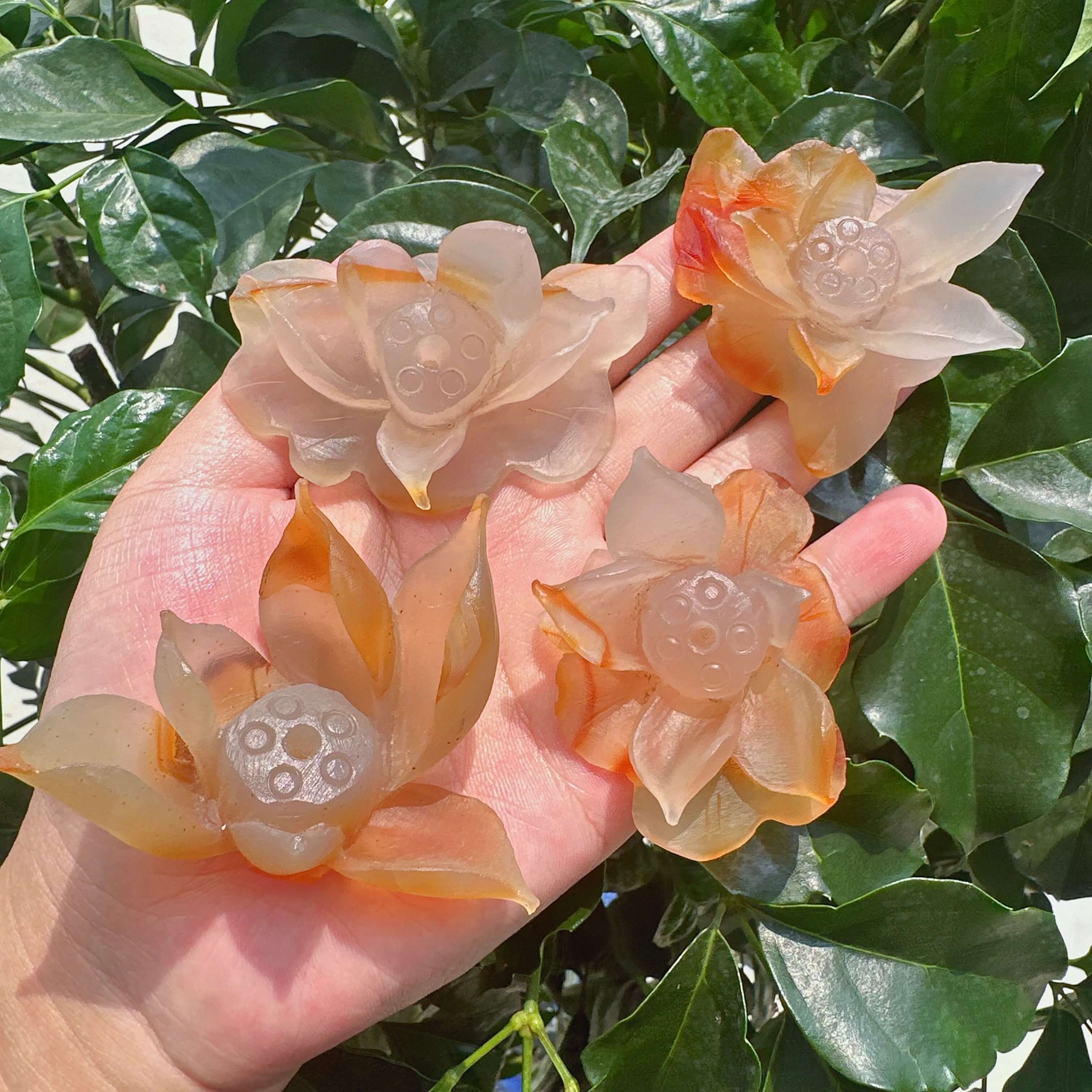 Agate Lotus Carving