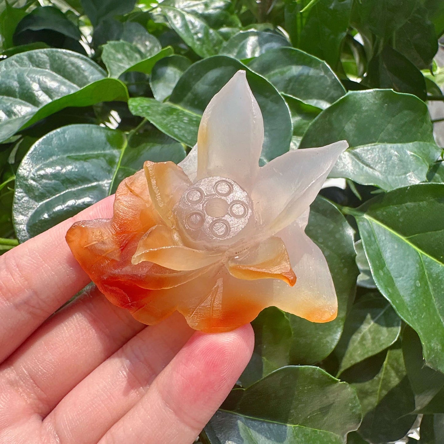 Agate Lotus Carving
