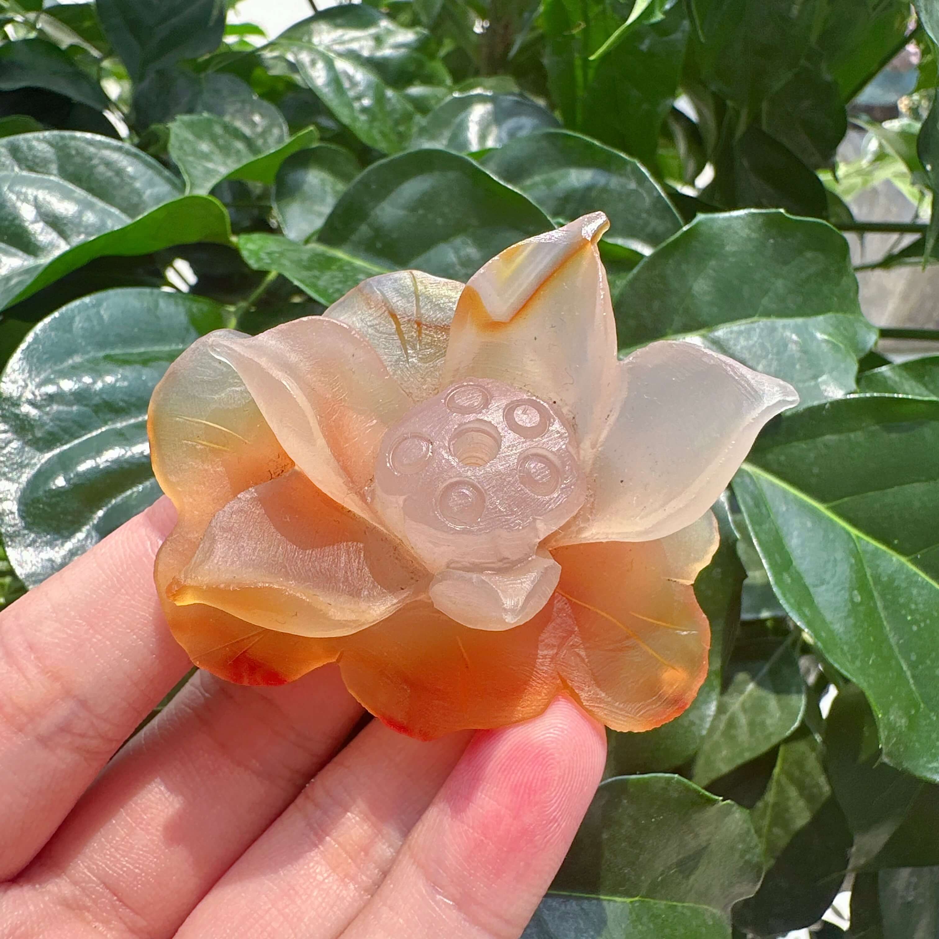 Agate Lotus Carving