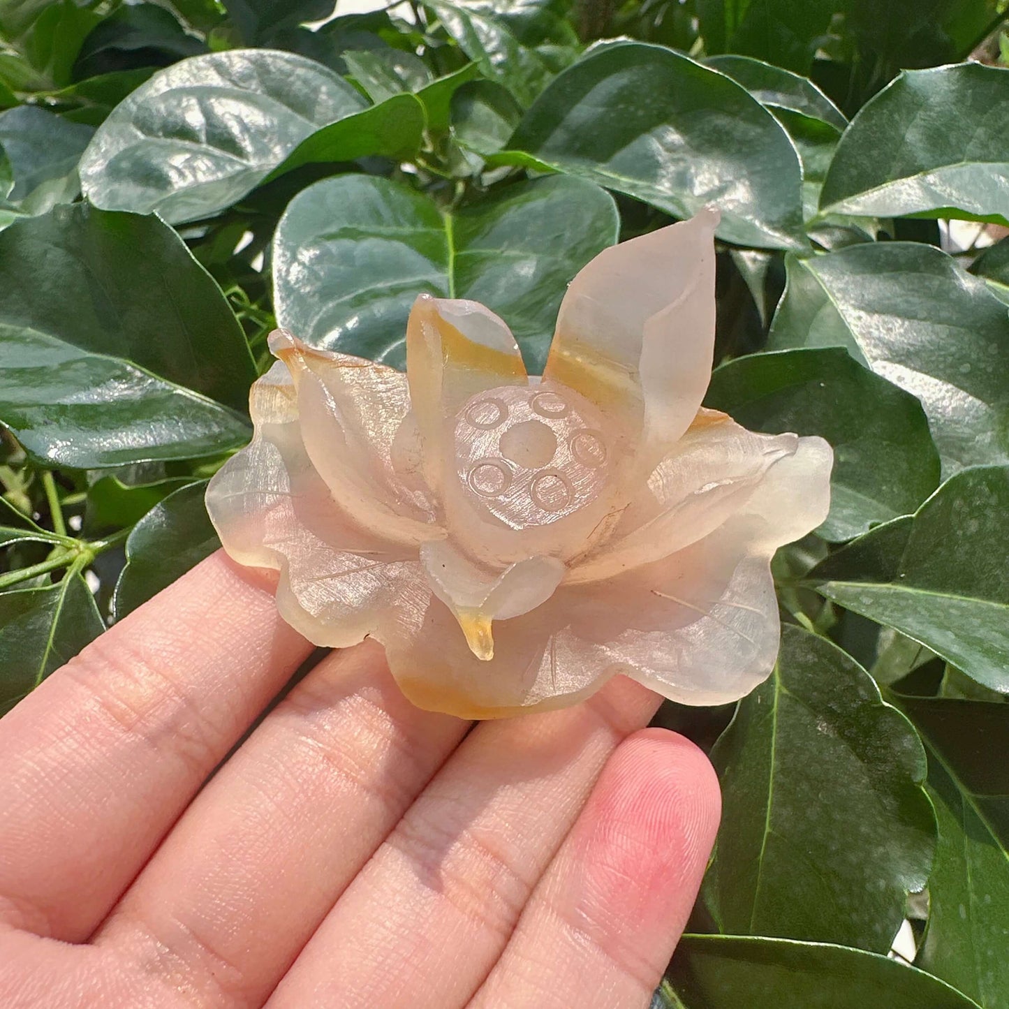 Agate Lotus Carving