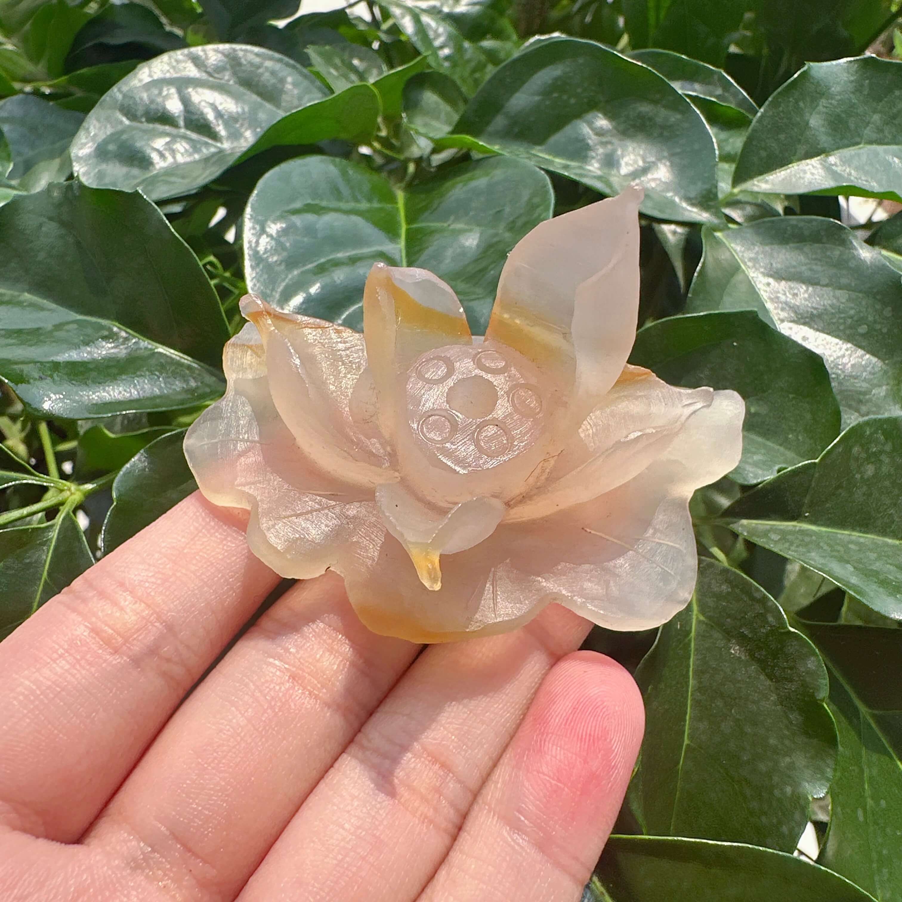 Agate Lotus Carving