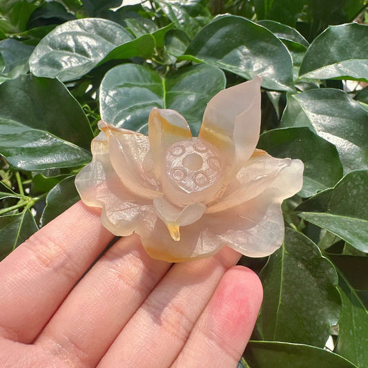Agate Lotus Carving