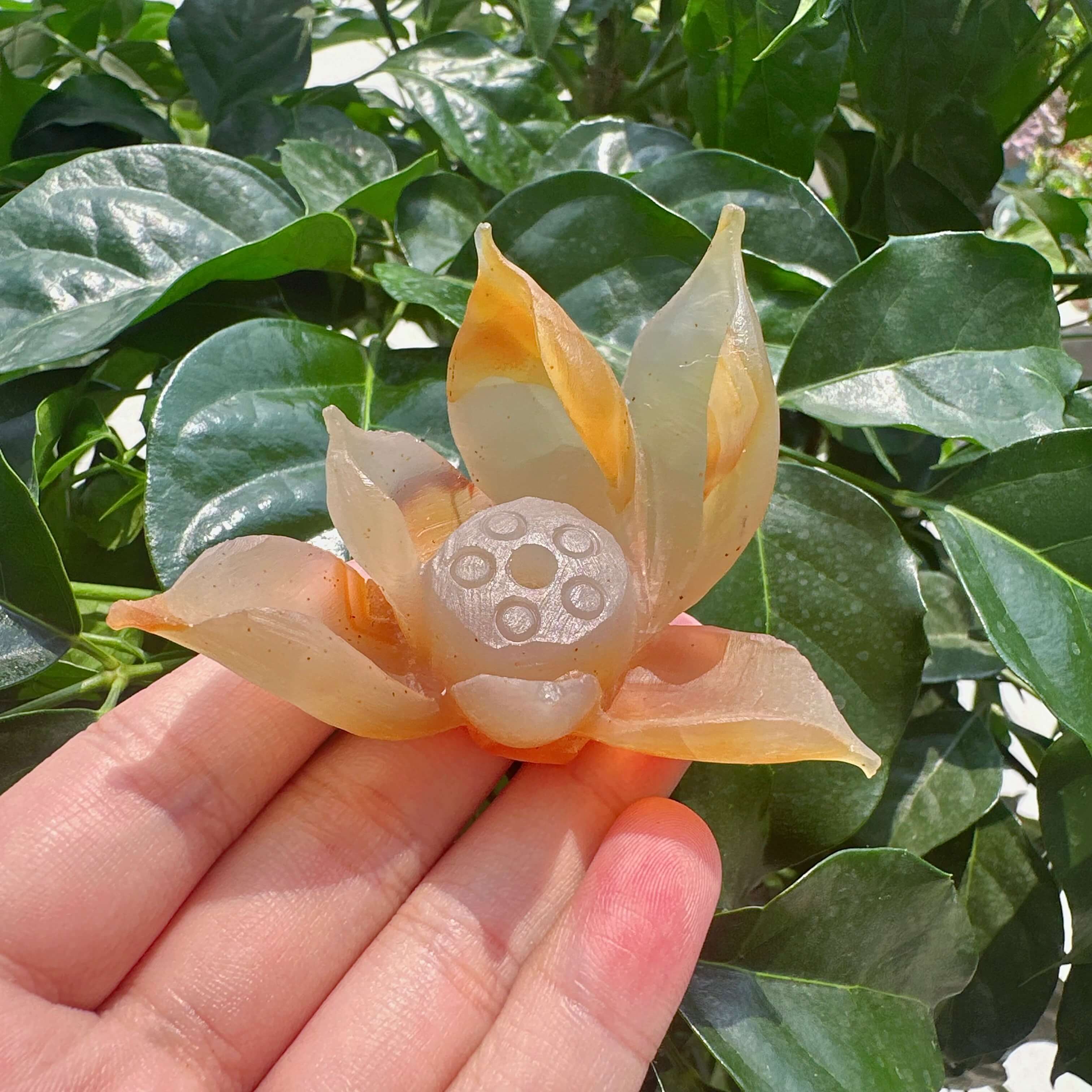 Agate Lotus Carving