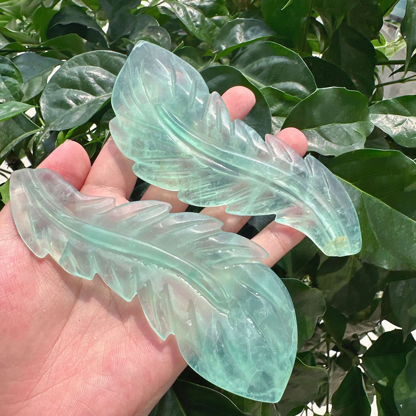 Fluorite Feather Carving