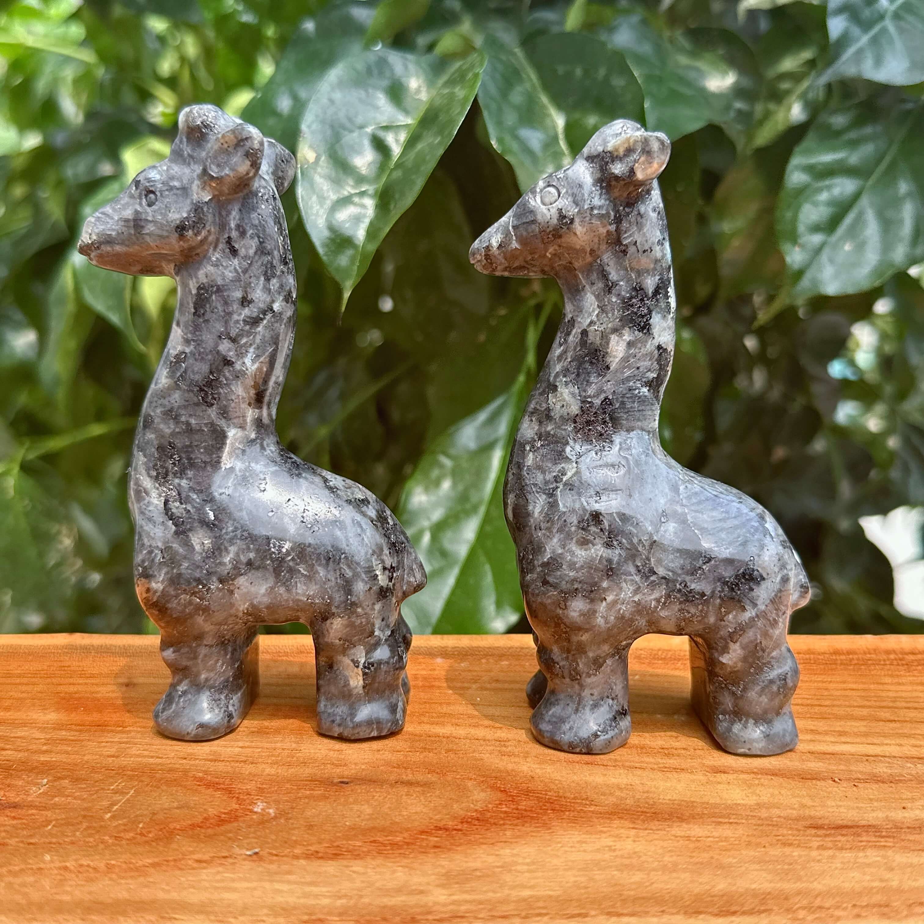 Larvikite Giraffe Carving