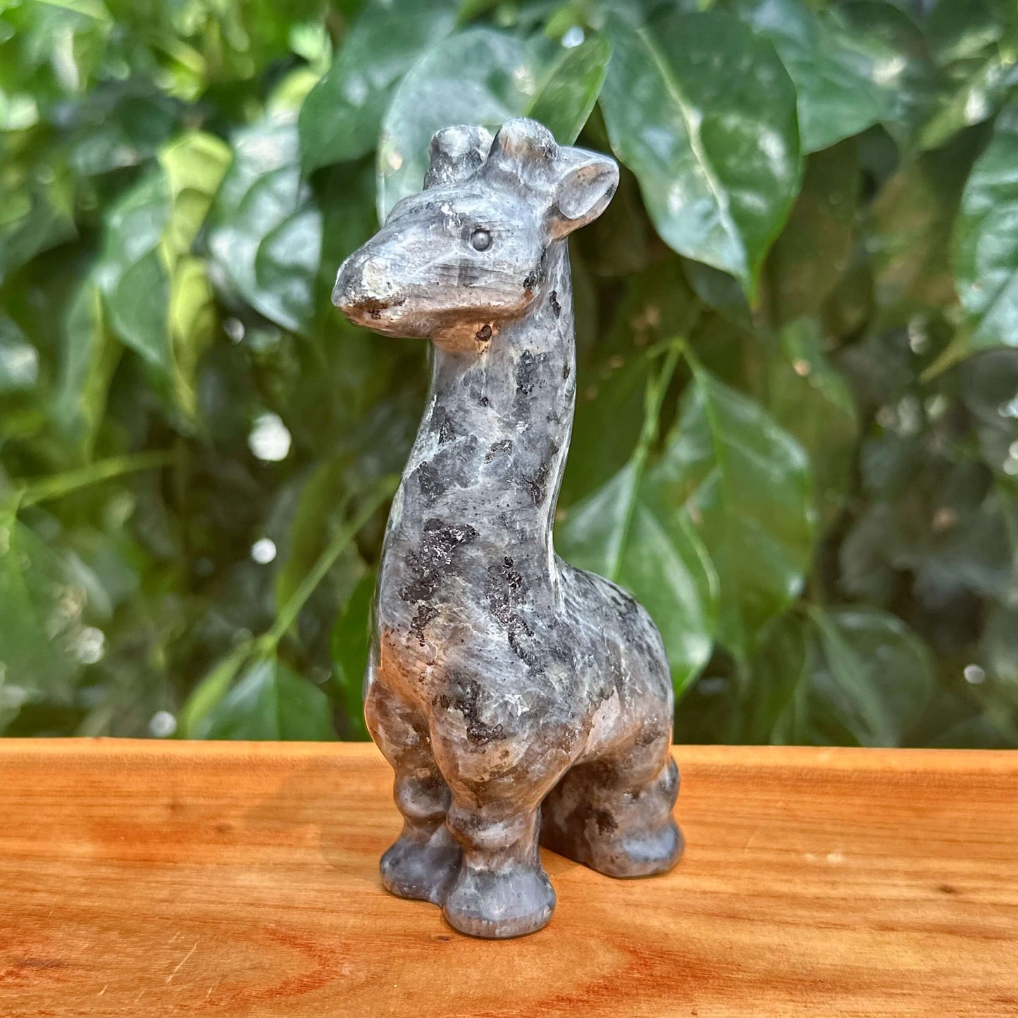 Larvikite Giraffe Carving