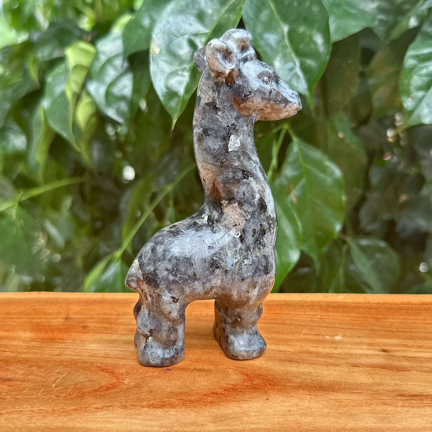 Larvikite Giraffe Carving